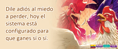 Recarga Diaria de Energía promotion